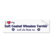 I Love My Soft Coated Wheaten Terrier (Female Dog) bumper stickers