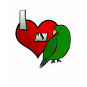 I Love my Solomon Islands Eclectus T-Shirt by MenagerieMayhem I Love my Solomon Islands Eclectus T-Shirt