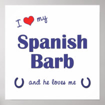 I Love My Spanish Barb (Male Horse) Poster
