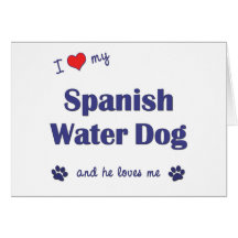 I Love My Spanish Water Dog (Male Dog) Greeting Cards