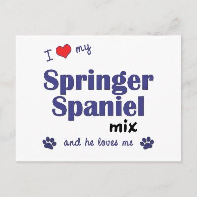 Springer Mix