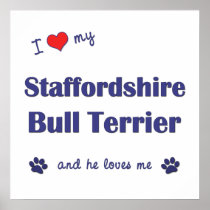 I Love My Staffordshire Bull Terrier (Male Dog) Print
