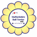 I Love My Staffordshire Bull Terrier Mix (Male) Cut Outs