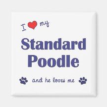 I Love My Standard Poodle (Male Dog) Refrigerator Magnet