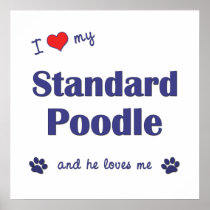 I Love My Standard Poodle (Male Dog) Poster