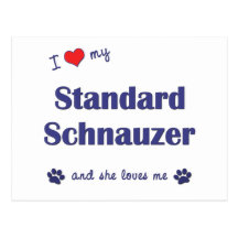 I Love My Standard Schnauzer (Female Dog) Post Cards