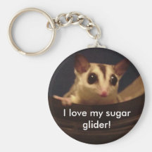 I love my sugar glider! keychain