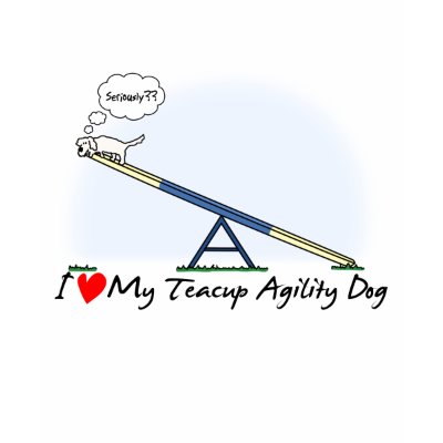 Portable Agility Dog Teeter Portable Agility Dog Teeter