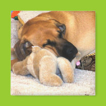 I love my teddy Magnet