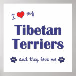 I Love My Tibetan Terriers (Multiple Dogs) Poster