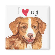 I Love my Toller Fridge Magnet