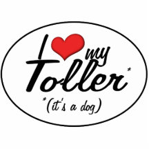 I Love My Toller (It's a Dog) Acrylic Cut Out