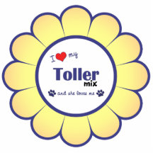 I Love My Toller Mix (Female Dog) Photo Cutout