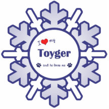 I Love My Toyger (Male Cat) Cut Outs