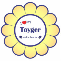 I Love My Toyger (Male Cat) Cut Outs