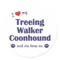I Love My Treeing Walker Coonhound (Female Dog) Stickers
