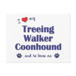 I Love My Treeing Walker Coonhound (Male Dog) Postcard