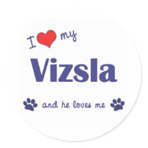 I Love My Vizsla (Male Dog) Sticker