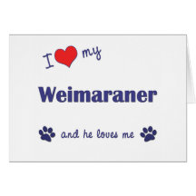 I Love My Weimaraner (Male Dog) Card
