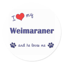 I Love My Weimaraner (Male Dog) stickers