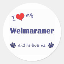 I Love My Weimaraner (Male Dog) Sticker