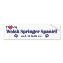 I Love My Welsh Springer Spaniel (Male Dog) bumper stickers by thatsalottadogs I Love My Welsh Springer Spaniel (Male Dog) bumper stickers