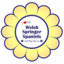 I Love My Welsh Springer Spaniels Ornament photo sculptures