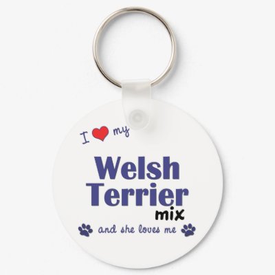 I Love My Welsh Terrier Mix (Female Dog) Key Chains by muttybuddy