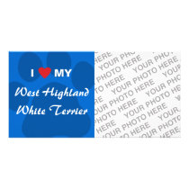 I Love My West Highland White Terrier (Westie) Photo Card