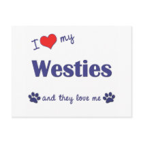 I Love My Westies (Multiple Dogs) Postcards