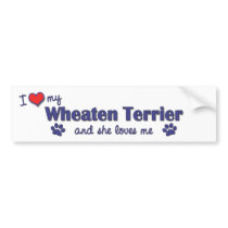 I Love My Wheaten Terrier (Female Dog) Bumper Stickers