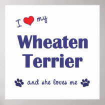 I Love My Wheaten Terrier (Female Dog) Poster