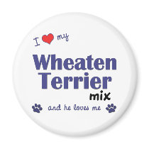 I Love My Wheaten Terrier Mix (Male Dog) magnets