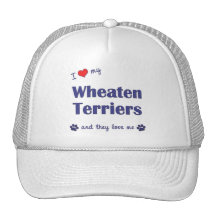 I Love My Wheaten Terriers (Multiple Dogs) Hat