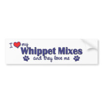 I Love My Whippet Mixes (Multiple Dogs) bumper stickers