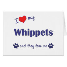 I Love My Whippets (Multiple Dogs) Cards