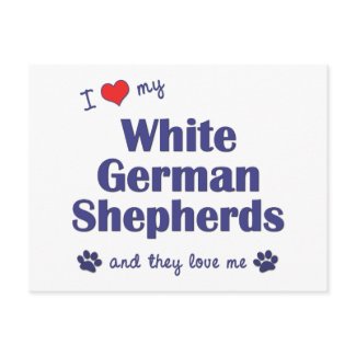 I Love My White German Shepherds (Multiple Dogs) postcard