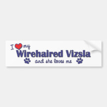 I Love My Wirehaired Vizsla (Female Dog) Bumper Stickers