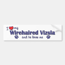 I Love My Wirehaired Vizsla (Male Dog) Bumper Sticker
