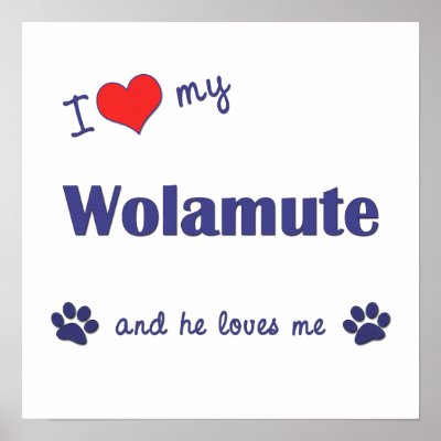 Wolamute Pictures