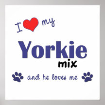 I Love My Yorkie Mix (Male Dog) Poster Print