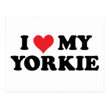 I Love My Yorkie Post Cards