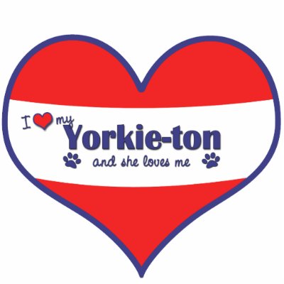 Yorkie Ton