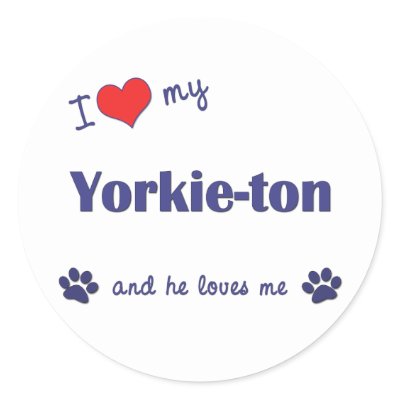 Yorkie Ton