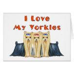 I Love My Yorkies Art Design Cards