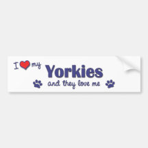 I Love My Yorkies (Multiple Dogs) Bumper Stickers