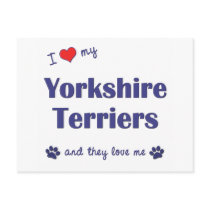 I Love My Yorkshire Terriers (Multiple Dogs) postcards