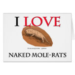 I Love Naked Mole-Rats Card