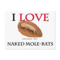I Love Naked Mole-Rats postcards by tshirtshirts I Love Naked Mole-Rats postcards