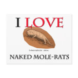 I Love Naked Mole-Rats postcards